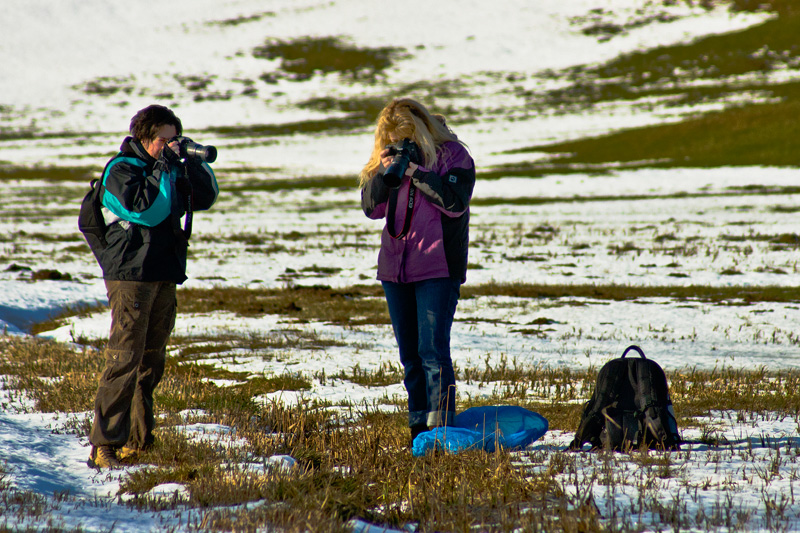 Fotografen in Action 086